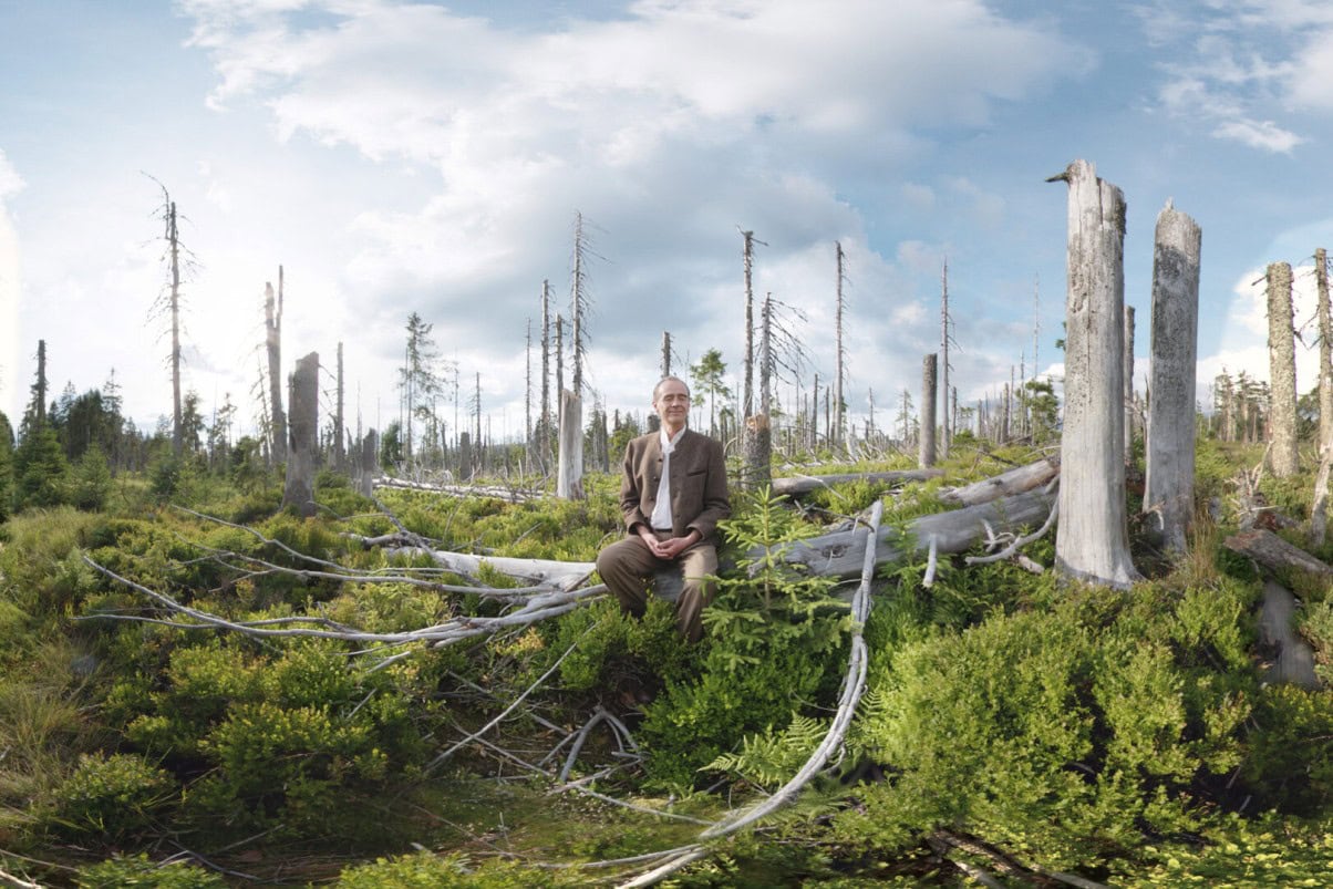 Immersives Bild eines Mannes in einem Wald